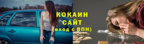 PSILOCYBIN Баксан