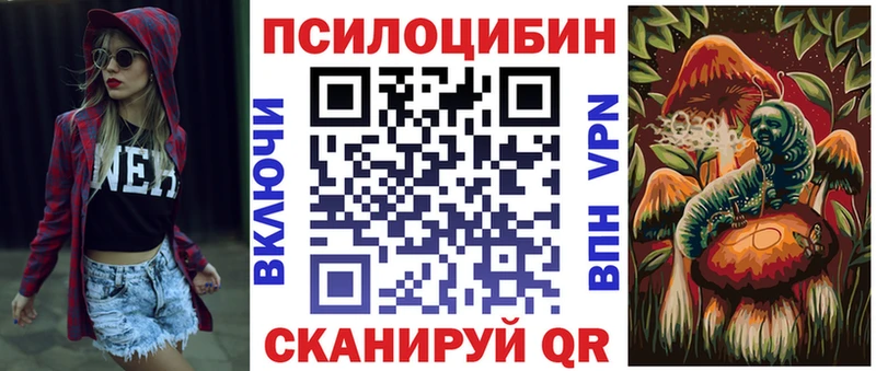 Псилоцибиновые грибы Cubensis  Теберда 